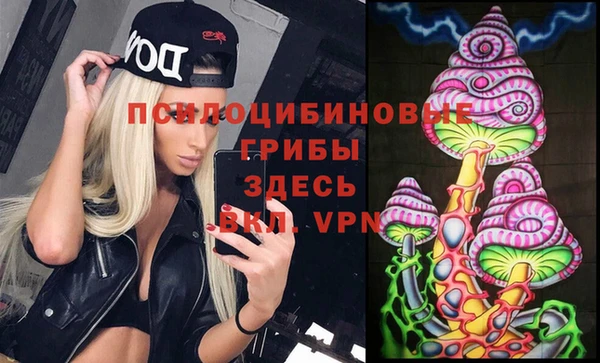 ПСИЛОЦИБИНОВЫЕ ГРИБЫ Алексин