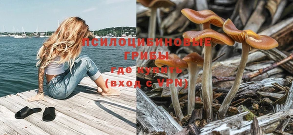 ГАЛЛЮЦИНОГЕННЫЕ ГРИБЫ Алзамай