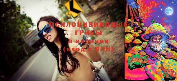 ПСИЛОЦИБИНОВЫЕ ГРИБЫ Алексин